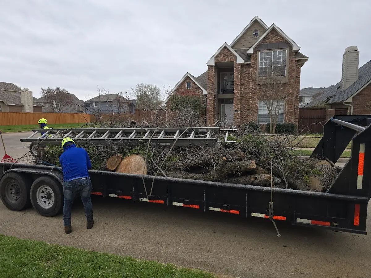 Expert Tree Fertilization with proper safety equipment in Odell